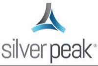 2021年顶尖SD-WAN供应商和厂商