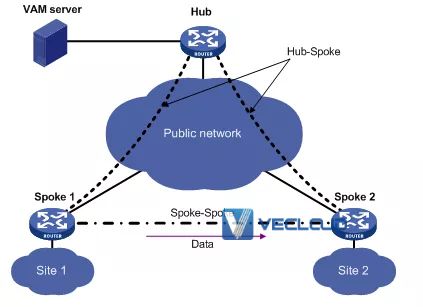 什么是DVPN？DVPN典型组网结构是什么？