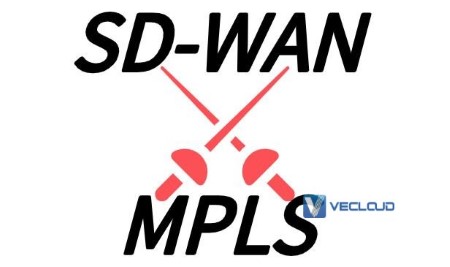 红遍全网的SD-WAN，真的会杀死MPLS吗？