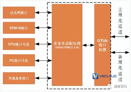 CPE OTN到底是什么？