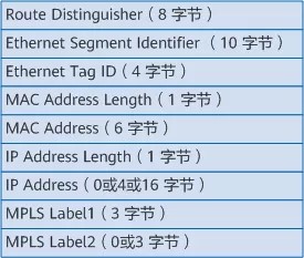 什么是EVPN？