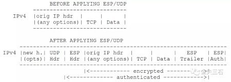 IPsec ESP 数据包的 UDP 封装