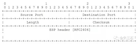 IPsec ESP 数据包的 UDP 封装