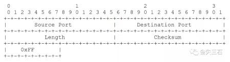 IPsec ESP 数据包的 UDP 封装