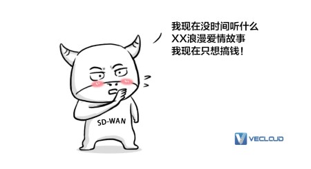 SD-WAN「混生意圈」
