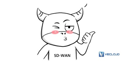 SD-WAN「混生意圈」