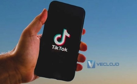 TikTok中东受热捧，跨境电商引流需要注意些什么？