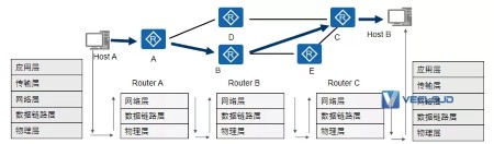 通信网络基础知识大全，小白必看