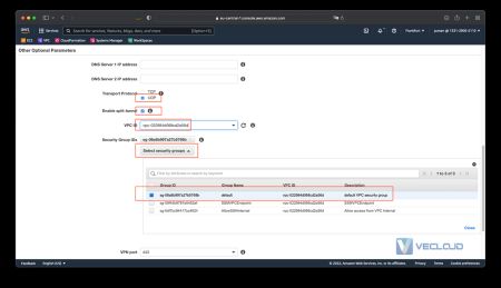 在海外区域使用AWS Client 访问云上VPC 内网资源