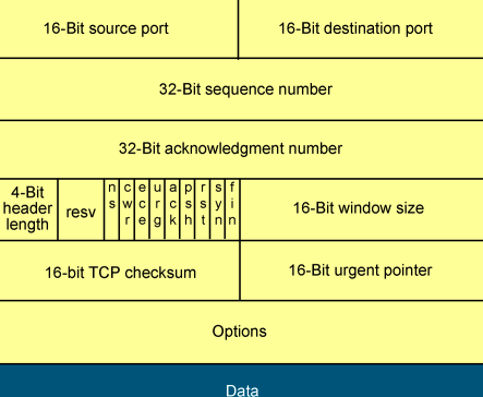 IP报头、TCP、UDP理解