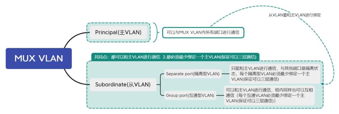 大型企业组网必看MUX VLAN运行技术讲解