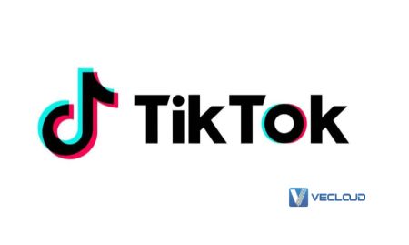 欧洲tiktok跨境电商推荐租用英国云服务器