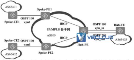 ​BGP/MPLS IP主要应用