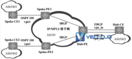 ​BGP/MPLS IP主要应用