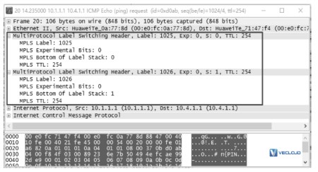 ​BGP/MPLS IP的报文转发