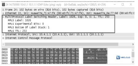 ​BGP/MPLS IP的报文转发