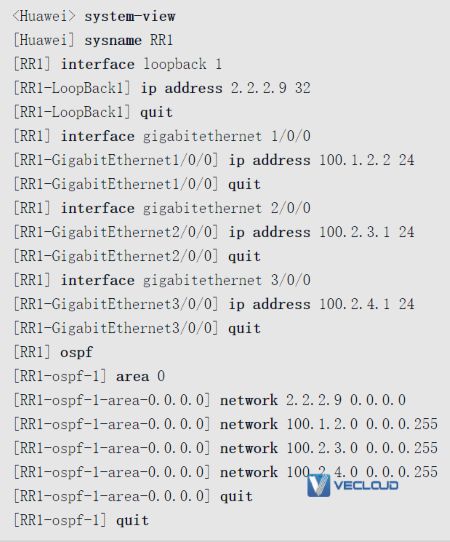 路由反射器优化VPN骨干层配置与管理