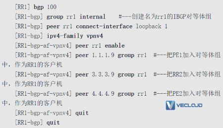 路由反射器优化VPN骨干层配置与管理