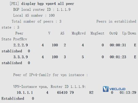 路由反射器优化VPN骨干层配置与管理