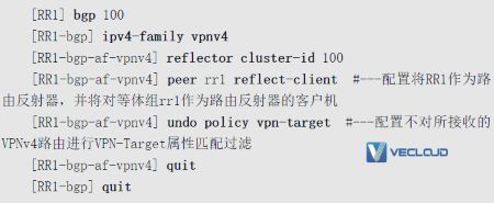 路由反射器优化VPN骨干层配置与管理