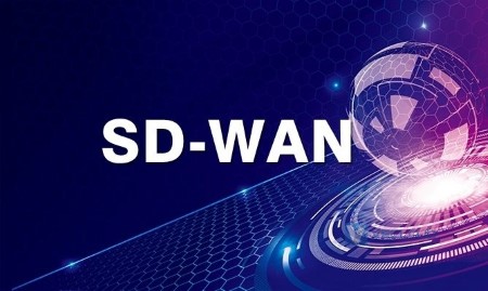 SD-WAN企业组网，提高整体网络性能
