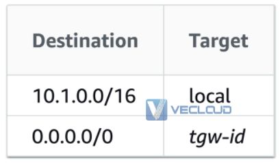 亚马逊云直连-AWS Transit Gateway