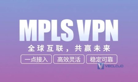 企业挑选MPLS VPN国际服务商标准