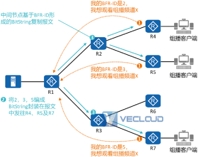 IPv6+针对于不同网络类型架构有哪些落地方案技术？