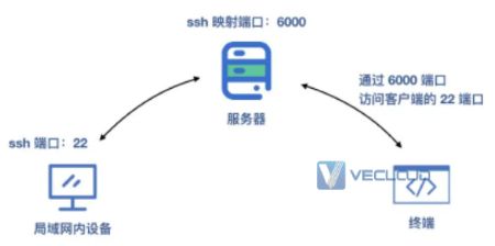 企业异地组网方案这么多怎么选？企业组网方案对比