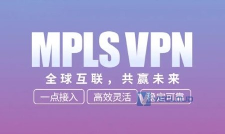 某医疗器械企业搭建MPLS网络