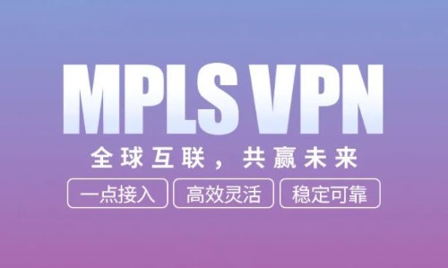 MPLS VPN组网解决方案