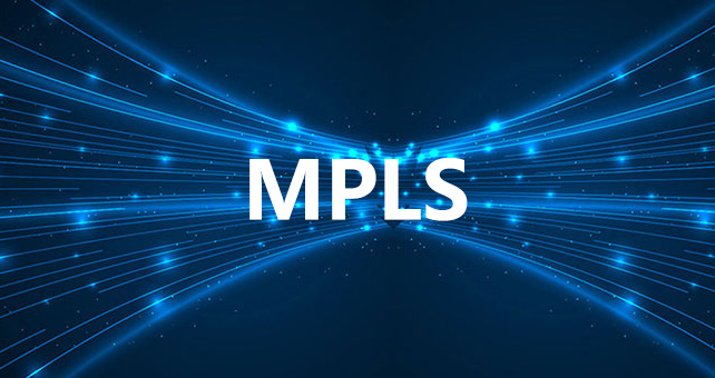 从孟买企业到新加坡企业如何进行跨国组网？