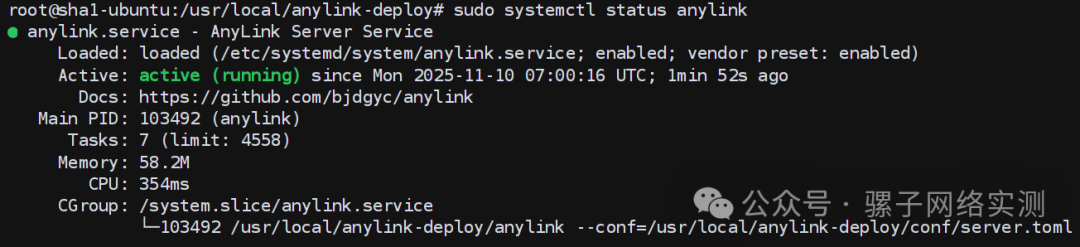 网络实战 | 从零搭建免费的企业级的远程办公方案 SSL VPN 网络实战 | 从零搭建免费的企业级的远程办公方案 SSL VPN