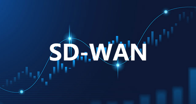 SD-WAN能否基于业务优先级动态调整路由？