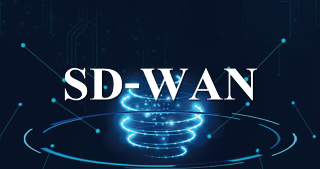  越南企业跨国网络优化怎么做？