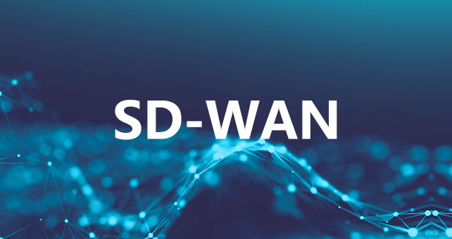大型跨国制造企业 SD-WAN 组网方案实践